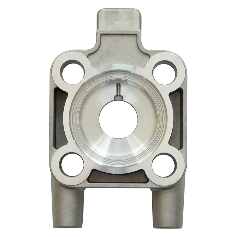 Culasse pompe  à&nbsp;membrane EUROSPRAY PULSE