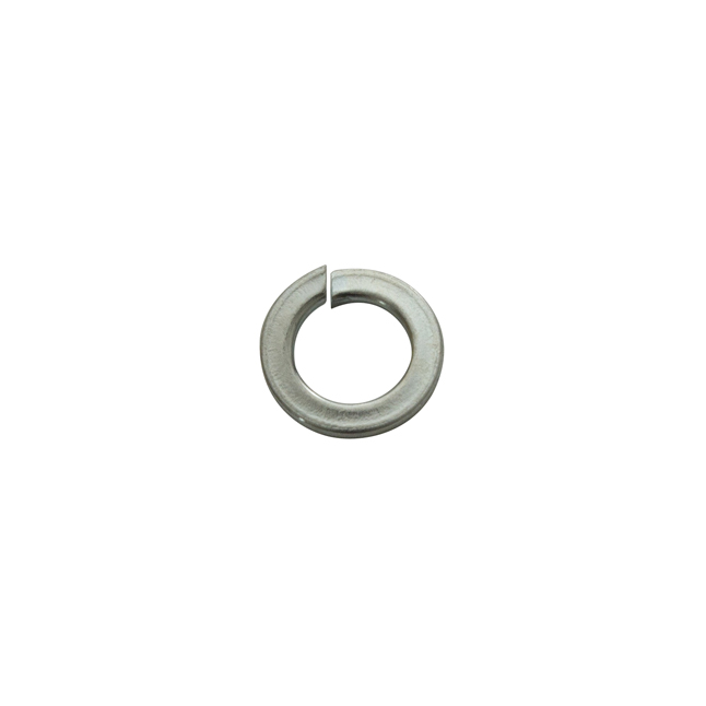 Rondelle grower  ø 6  - CP 60