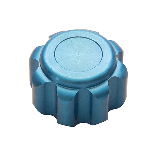 Bouchon filtre  BLEU pour insert inox