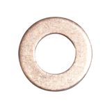 Joint cuivre  nez pompe JETPRO 80