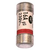 Fusible 16  A.