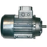 Moteur électrique   0,75 kW - T80 - B14 -1400 trs - 400V